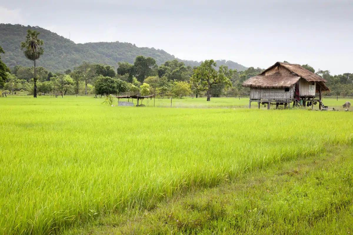 Vous émerveiller au Laos – Image 14
