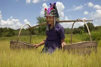 Environs de Pongsaly