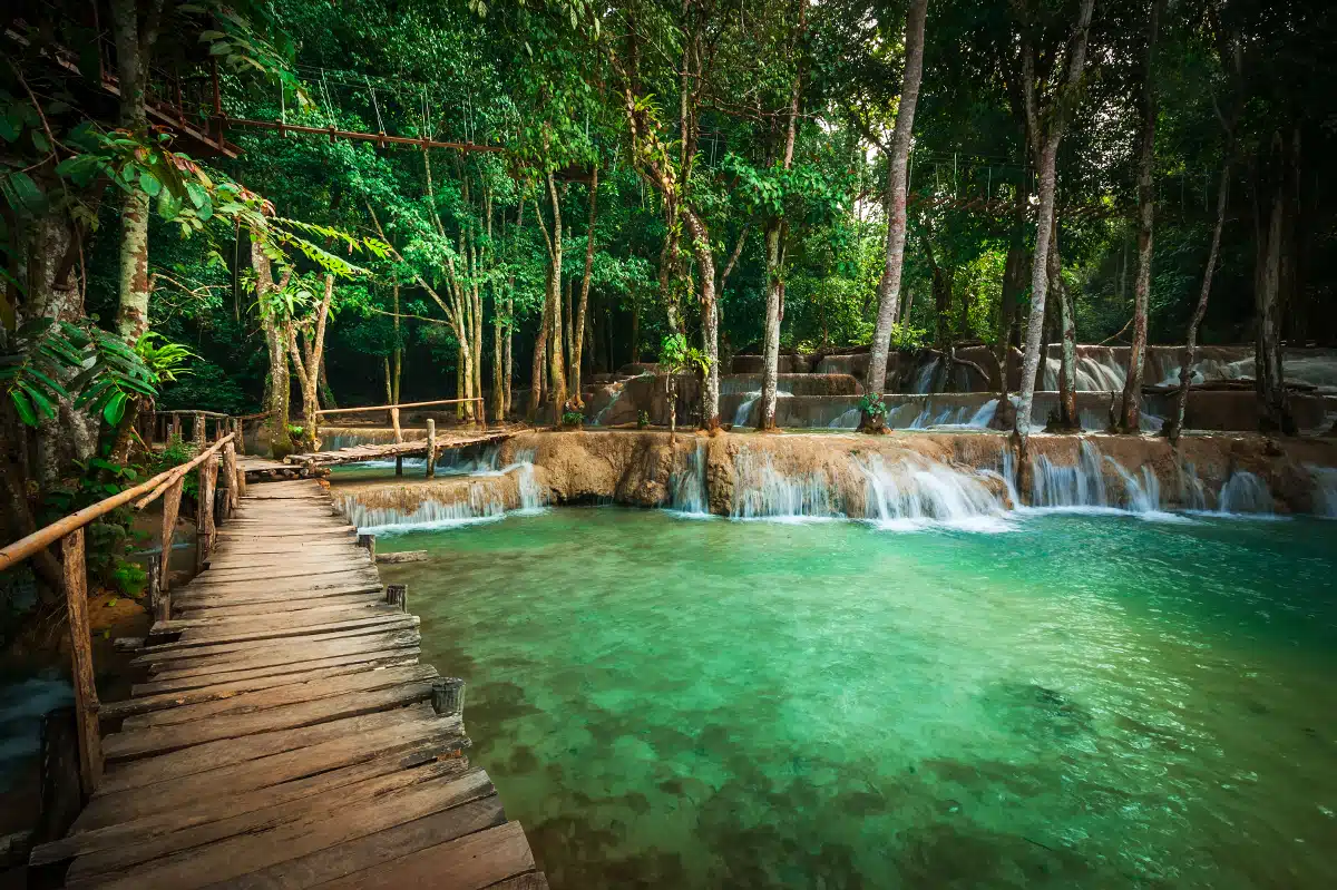 Avis Bourdin Laos