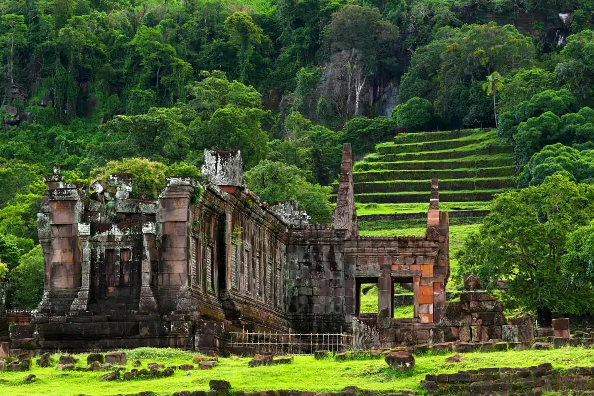 Un grand bol de vert au Sud du Laos – Image 2