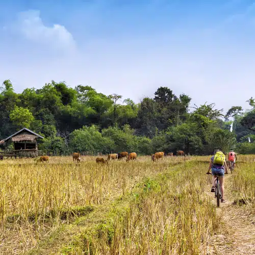 Circuit Nord Laos Authentique – Image 3