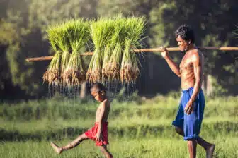 Randonnées au Nord Laos – nature et minorités