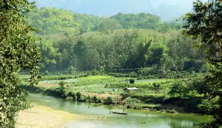 Avis Famille Picat Laos