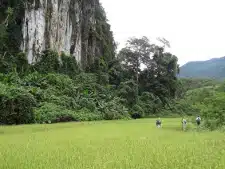 Avis groupe Singer Laos