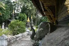 Avis Walter Laos