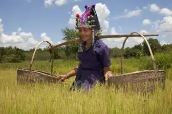 Nord Est Laos
