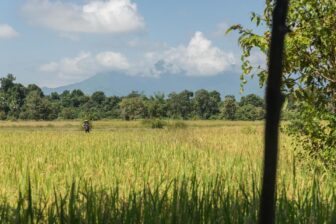 Hotel La Folie Lodge - Champassak - Laos