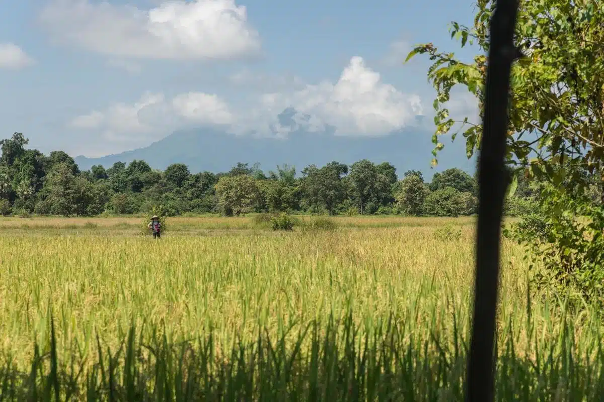 Hotel La Folie Lodge - Champassak - Laos