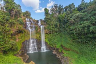 Un grand bol de vert au Sud du Laos