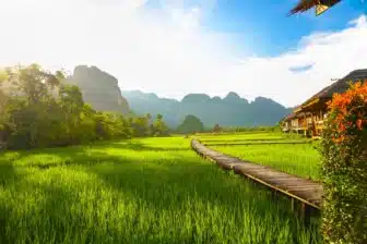 Laos et Cambodge : Paysages et diversité - 15j – Image 12